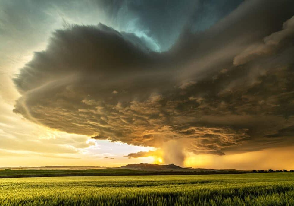 Tornadic Cell over Grassy Field in Canadian Prairies